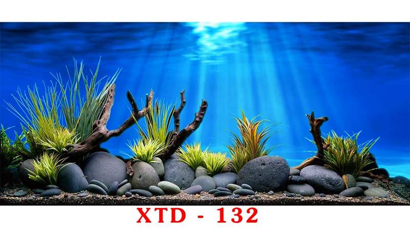 Lịch Sử Giá Tranh 3D Hồ Cá Xtd-132 Kích Thước 160X60 Cập Nhật 5/2023 -  Beecost