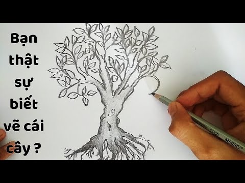 Vẽ Cái Cây Đẹp Bằng Bút Chì - How To Draw A Tree - Youtube