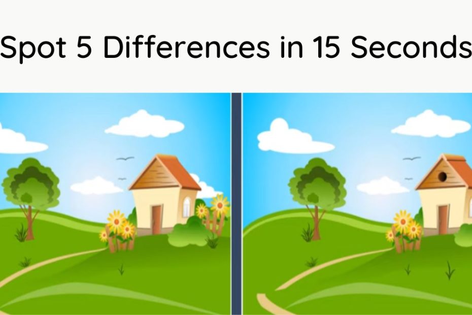 Spot The Difference: Can You Spot Five Differences In 15 Seconds?
