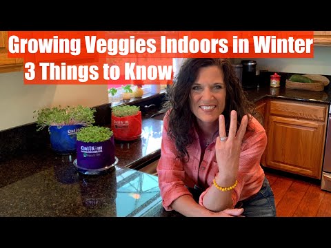 Binnenshuis groenten kweken in de winter: 3 dingen die je moet weten